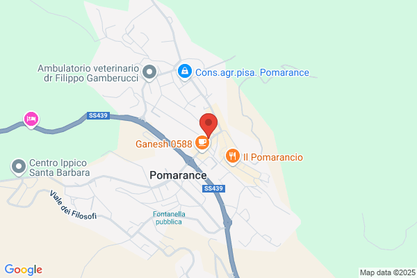 Il Papiro Di Gasperini Luca