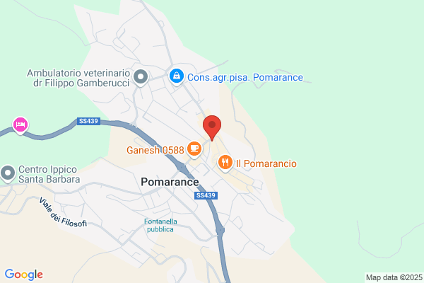 Il Segnalibro Di Cappellini Michela