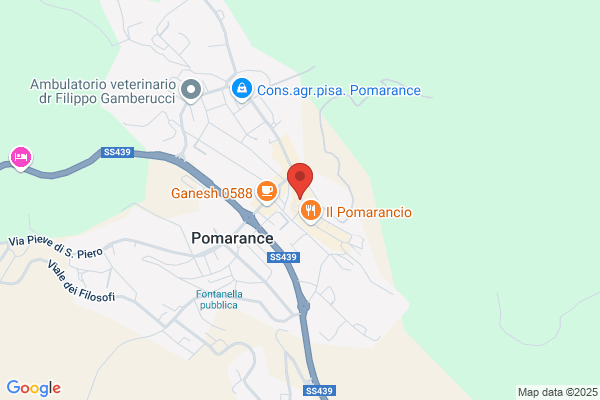 Pacini alessandro (Geom.)
