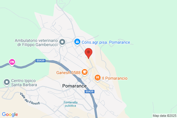 Partito Dmocratico Della Sinistra