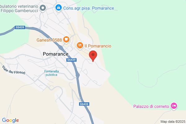 Pini paolo