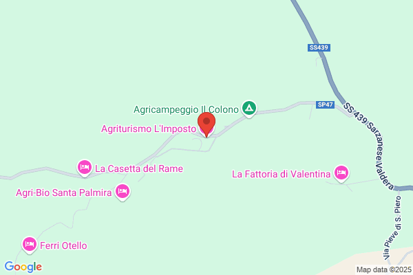 Pucini letizia
