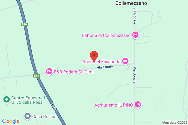 Ristorante Il Gelso