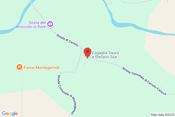 Zagaglia Sauro E Stefano