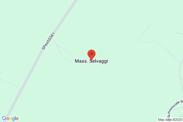 Selvaggi Salvatore