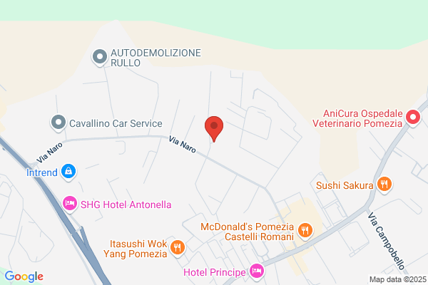 Pedema Service