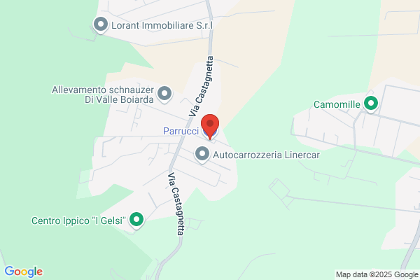 Parrucci