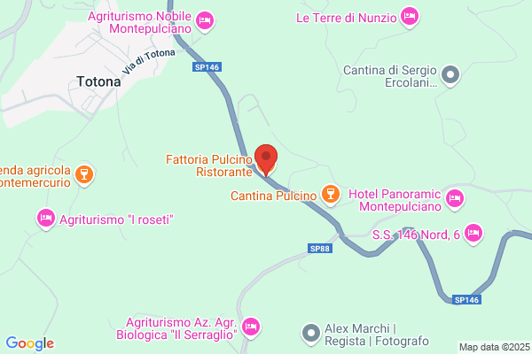 Il Pulcino Di Dauria Luigi