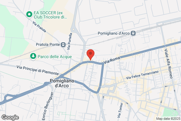 Visone domenico