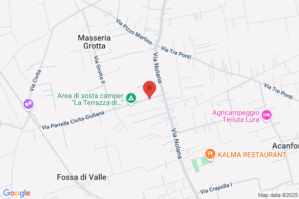 Times Di Trapanese Rosa