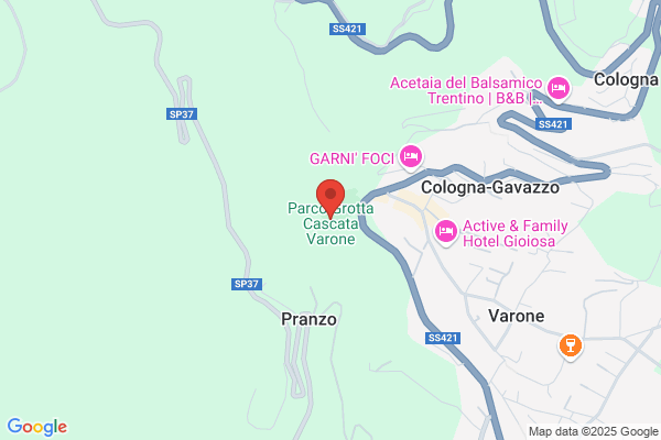 Germoglio Di Varone Vincenzo