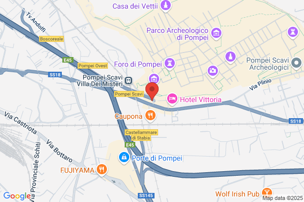 Vettii Travel Srl