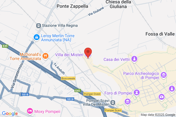 Electa Napoli Srl