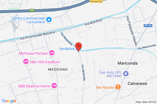 Verdoliva Srl