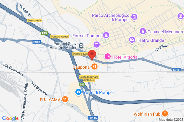 Ristorante Vesuvio Srl