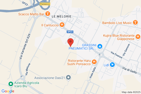 Rsa Le Melorie Ponsacco