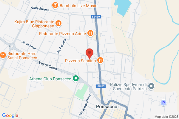 Falaschi Nello (Ing.)