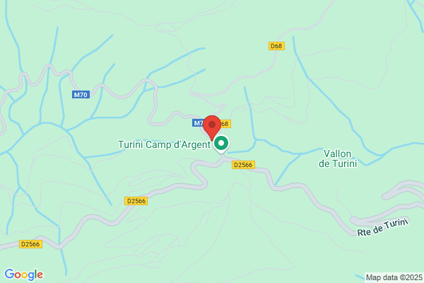 Turini david
