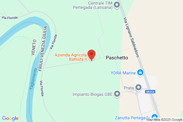 Livio Battista Artigiano