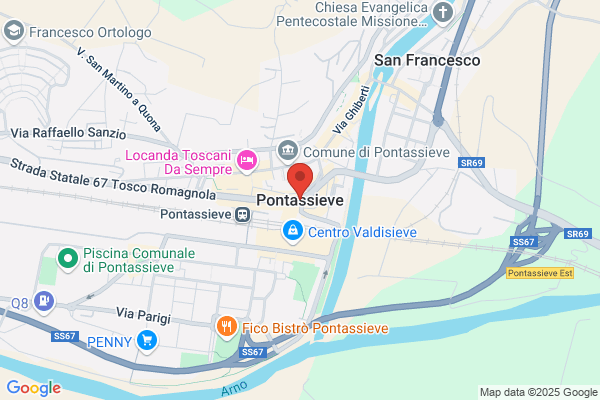 Pelletteria Limberti Evolution Group