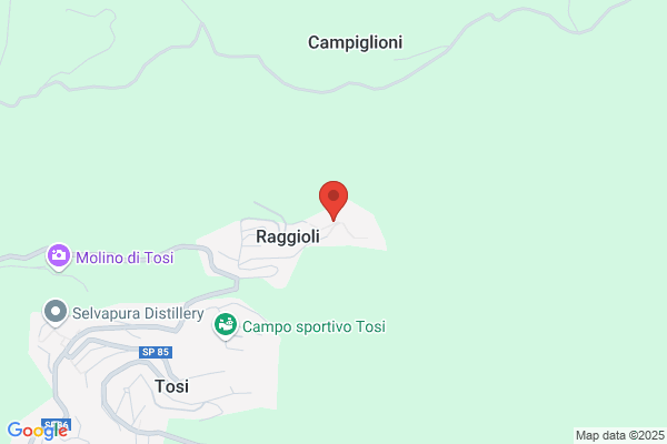 Raggioli pietro