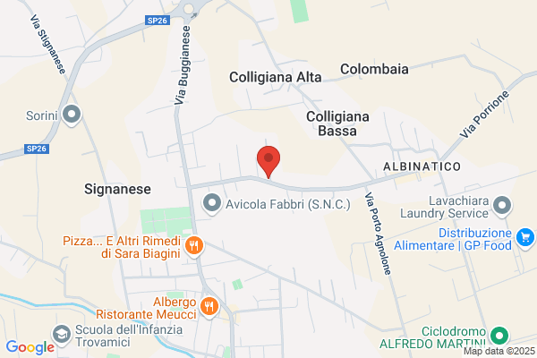 Pagni massimo