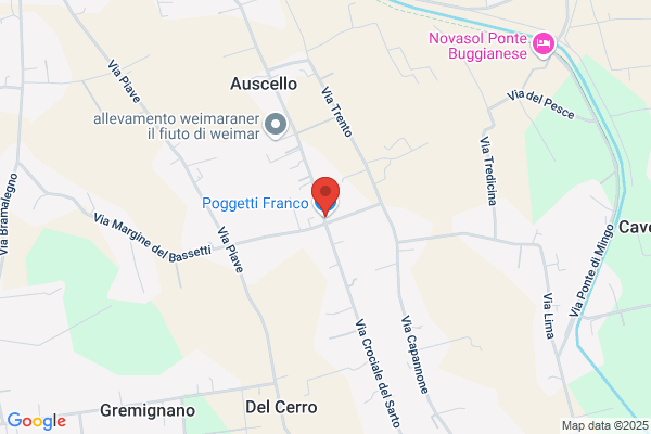 Perotti massimo Luigi
