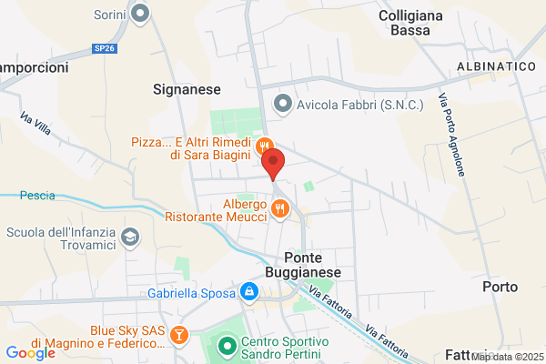 Spadoni dino