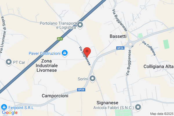 Paolinelli nicola (Geom.)