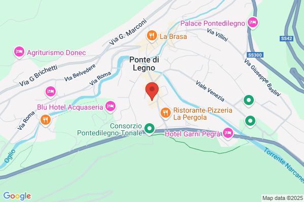 Ristorante Albergo Bleis