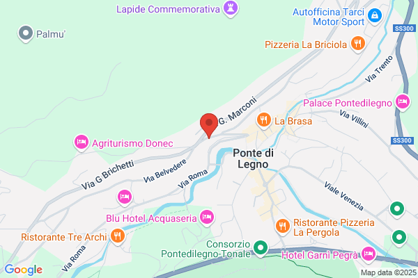 Hotel Cristallo  Ponte di legno
