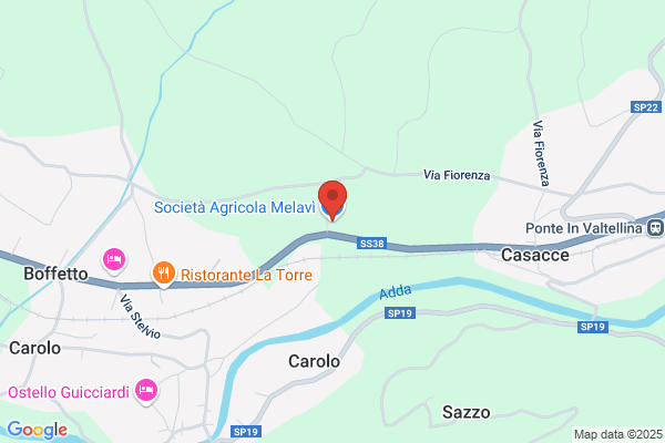 Consorzio Tutela Mele Di Valtellina