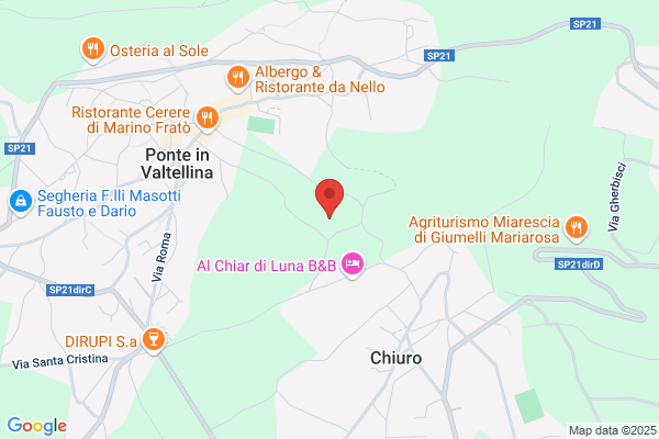 Bauhouse Centro Cinofilo