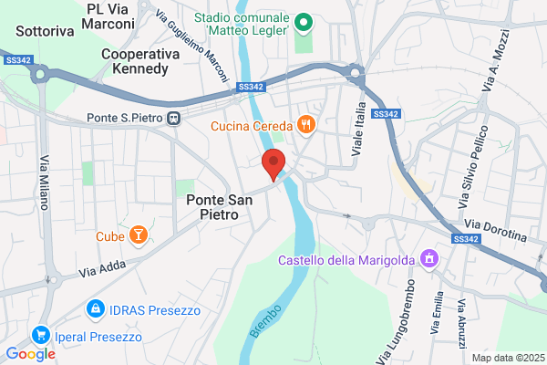 Pirola catia