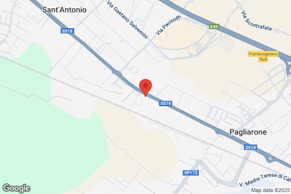 Lorchidea Di Pecoraro Luigi