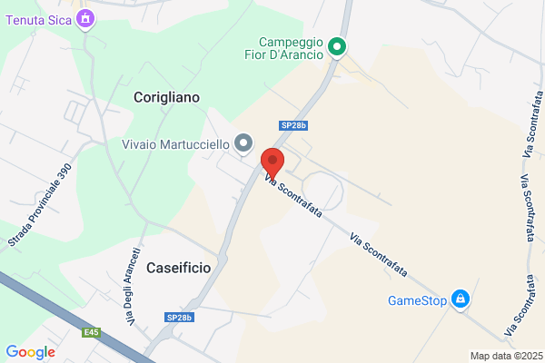Vivaio Masullo Piante