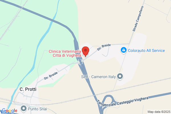 Clinica Veterinaria Citta Di Voghera Di Gilardini annamaria & C. (/// (S.A.S.))