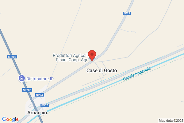 Produttori Agricoli Pisani (S.R.L)