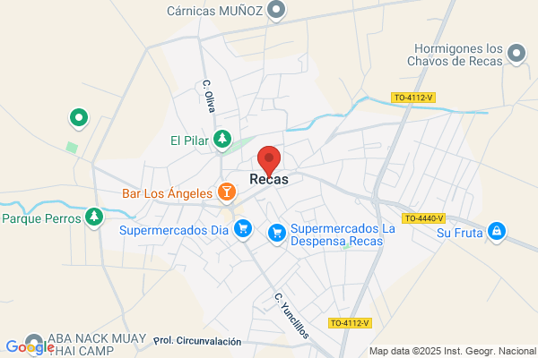 R.E.C.A.(S.R.L.)