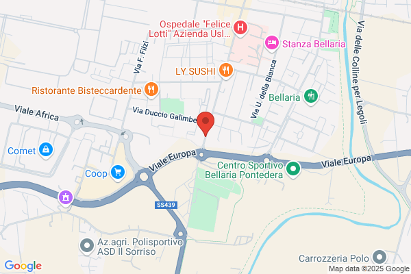 Provincia Di Pisa