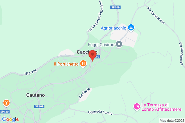 Finelli Paride (Dr.)