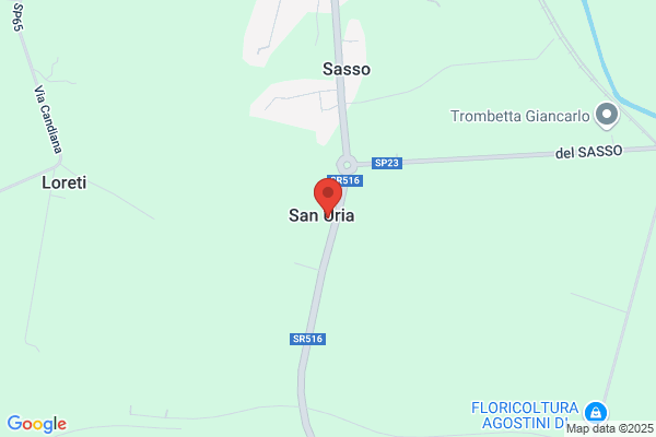 Plinio Betto sas