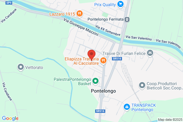 Soluzione Trasporti Servizi