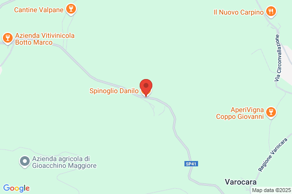 Spi.Gom. Di Spinoglio Silvio Giuseppe & C. (S.A.S.)