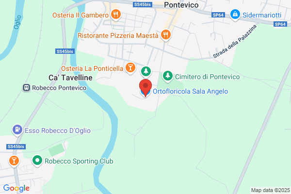 Ruvioli angelo