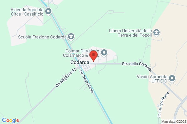 La Codarda Di P.Di Stefano