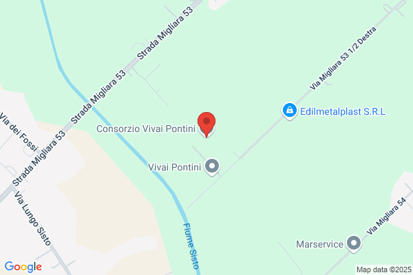 Vivai Pontini Di Rivetti Massimo