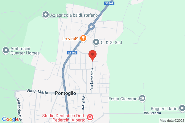 Pasinelli vincenzo