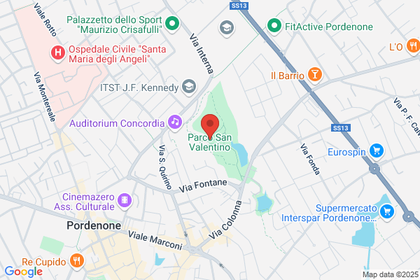 Piccin  Piergiorgio