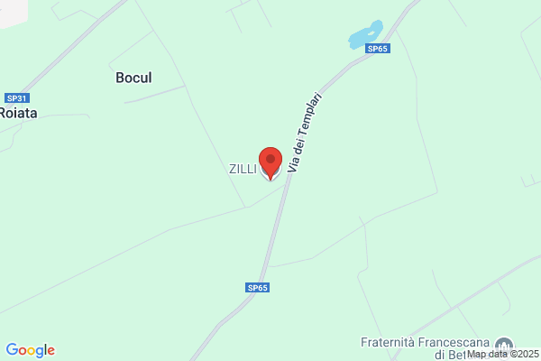 Zilli claudio